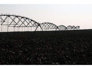 Property photo 11 - FARMLAND AUCTION, 2,752 Acres offered in 8 Tracts