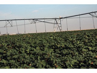 Property photo 36 - FARMLAND AUCTION, 2,752 Acres offered in 8 Tracts