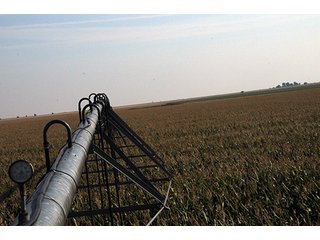 Property photo 13 - FARMLAND AUCTION, 2,752 Acres offered in 8 Tracts