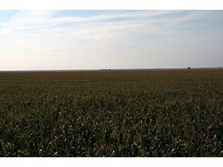 Property photo 30 - FARMLAND AUCTION, 2,752 Acres offered in 8 Tracts