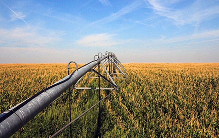 FARMLAND AUCTION, 2,752 Acres offered in 8 Tracts