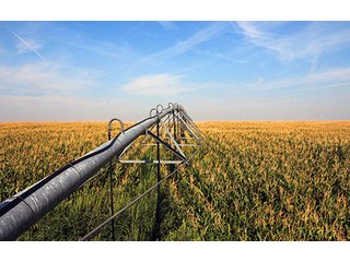 Tract 3 - FARMLAND AUCTION, 2,752 Acres offered in 8 Tracts