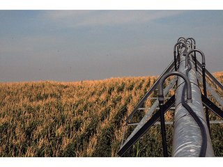 Property photo 32 - FARMLAND AUCTION, 2,752 Acres offered in 8 Tracts
