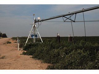 Property photo 61 - FARMLAND AUCTION, 2,752 Acres offered in 8 Tracts