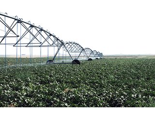 Tract 7 - FARMLAND AUCTION, 2,752 Acres offered in 8 Tracts