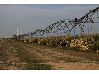 Property photo 24 - FARMLAND AUCTION, 2,752 Acres offered in 8 Tracts