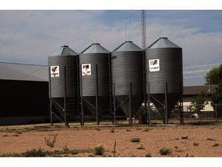 Property photo 26 - FARMLAND AUCTION, 2,752 Acres offered in 8 Tracts