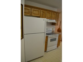 Property photo 16 - REAL ESTATE AUCTION, Immaculate 3 Bedroom, 2 Bath Ranch
