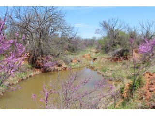 Property photo 12 - OKLAHOMA LAND AUCTION, 170+/- Acres offered in 1 Tract
