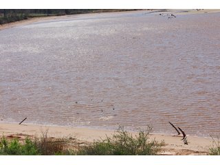 Property photo 15 - OKLAHOMA LAND AUCTION, 170+/- Acres offered in 1 Tract