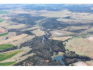 Property photo 1 - OKLAHOMA LAND AUCTION, 74+/- Acres offered in 1 Tract
