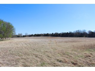 Property photo 9 - OKLAHOMA LAND AUCTION, 74+/- Acres offered in 1 Tract