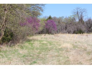 Property photo 11 - OKLAHOMA LAND AUCTION, 74+/- Acres offered in 1 Tract