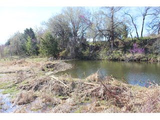 Property photo 2 - OKLAHOMA LAND AUCTION, 74+/- Acres offered in 1 Tract