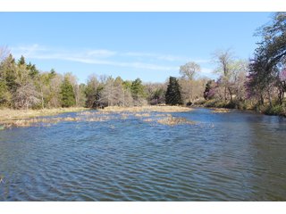 Property photo 5 - OKLAHOMA LAND AUCTION, 74+/- Acres offered in 1 Tract