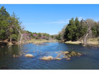 Property photo 4 - OKLAHOMA LAND AUCTION, 74+/- Acres offered in 1 Tract