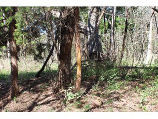 Property photo 8 - OKLAHOMA LAND AUCTION, 74+/- Acres offered in 1 Tract