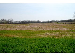 Property photo 3 - REAL ESTATE & PERSONAL PROPERTY AUCTION, 40 Acres offered in 4 Tracts or Combos
