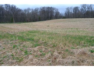 Property photo 86 - REAL ESTATE & PERSONAL PROPERTY AUCTION, 40 Acres offered in 4 Tracts or Combos