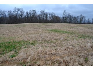 Property photo 52 - REAL ESTATE & PERSONAL PROPERTY AUCTION, 40 Acres offered in 4 Tracts or Combos