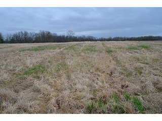 Property photo 30 - REAL ESTATE & PERSONAL PROPERTY AUCTION, 40 Acres offered in 4 Tracts or Combos