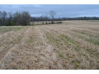 Property photo 15 - REAL ESTATE & PERSONAL PROPERTY AUCTION, 40 Acres offered in 4 Tracts or Combos