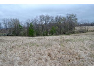 Property photo 76 - REAL ESTATE & PERSONAL PROPERTY AUCTION, 40 Acres offered in 4 Tracts or Combos