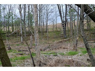 Property photo 41 - REAL ESTATE & PERSONAL PROPERTY AUCTION, 40 Acres offered in 4 Tracts or Combos