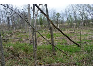 Property photo 24 - REAL ESTATE & PERSONAL PROPERTY AUCTION, 40 Acres offered in 4 Tracts or Combos