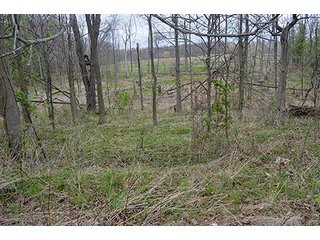 Property photo 62 - REAL ESTATE & PERSONAL PROPERTY AUCTION, 40 Acres offered in 4 Tracts or Combos