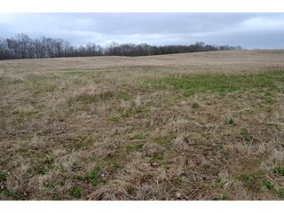 Property photo 92 - REAL ESTATE & PERSONAL PROPERTY AUCTION, 40 Acres offered in 4 Tracts or Combos