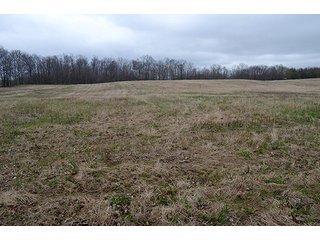 Property photo 64 - REAL ESTATE & PERSONAL PROPERTY AUCTION, 40 Acres offered in 4 Tracts or Combos