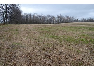 Property photo 85 - REAL ESTATE & PERSONAL PROPERTY AUCTION, 40 Acres offered in 4 Tracts or Combos