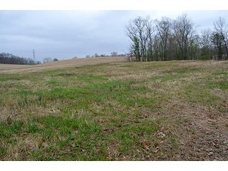 Property photo 37 - REAL ESTATE & PERSONAL PROPERTY AUCTION, 40 Acres offered in 4 Tracts or Combos