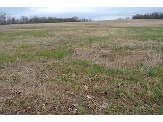 Property photo 7 - REAL ESTATE & PERSONAL PROPERTY AUCTION, 40 Acres offered in 4 Tracts or Combos
