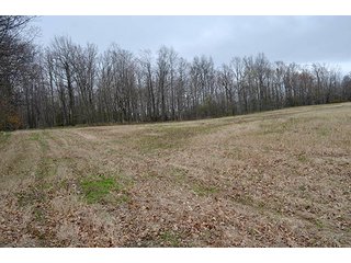 Property photo 39 - REAL ESTATE & PERSONAL PROPERTY AUCTION, 40 Acres offered in 4 Tracts or Combos