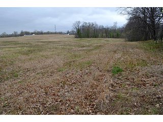 Property photo 13 - REAL ESTATE & PERSONAL PROPERTY AUCTION, 40 Acres offered in 4 Tracts or Combos