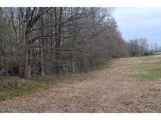 Property photo 42 - REAL ESTATE & PERSONAL PROPERTY AUCTION, 40 Acres offered in 4 Tracts or Combos