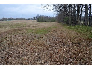Property photo 66 - REAL ESTATE & PERSONAL PROPERTY AUCTION, 40 Acres offered in 4 Tracts or Combos