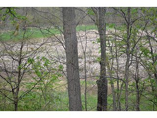 Property photo 2 - REAL ESTATE & PERSONAL PROPERTY AUCTION, 40 Acres offered in 4 Tracts or Combos