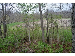 Property photo 60 - REAL ESTATE & PERSONAL PROPERTY AUCTION, 40 Acres offered in 4 Tracts or Combos