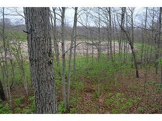 Property photo 38 - REAL ESTATE & PERSONAL PROPERTY AUCTION, 40 Acres offered in 4 Tracts or Combos