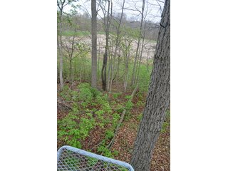 Property photo 33 - REAL ESTATE & PERSONAL PROPERTY AUCTION, 40 Acres offered in 4 Tracts or Combos
