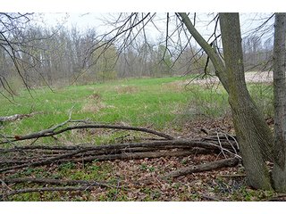 Property photo 79 - REAL ESTATE & PERSONAL PROPERTY AUCTION, 40 Acres offered in 4 Tracts or Combos