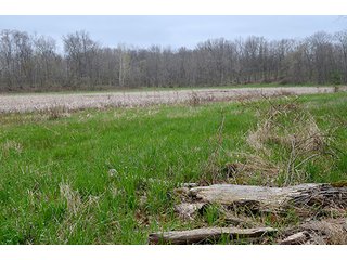 Property photo 75 - REAL ESTATE & PERSONAL PROPERTY AUCTION, 40 Acres offered in 4 Tracts or Combos