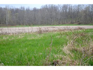 Property photo 26 - REAL ESTATE & PERSONAL PROPERTY AUCTION, 40 Acres offered in 4 Tracts or Combos