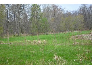 Property photo 28 - REAL ESTATE & PERSONAL PROPERTY AUCTION, 40 Acres offered in 4 Tracts or Combos