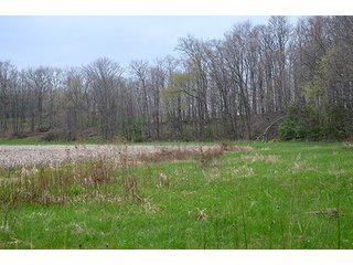 Property photo 36 - REAL ESTATE & PERSONAL PROPERTY AUCTION, 40 Acres offered in 4 Tracts or Combos