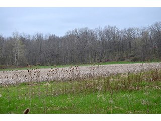 Property photo 14 - REAL ESTATE & PERSONAL PROPERTY AUCTION, 40 Acres offered in 4 Tracts or Combos