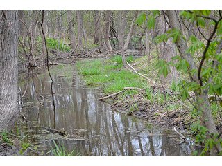 Property photo 35 - REAL ESTATE & PERSONAL PROPERTY AUCTION, 40 Acres offered in 4 Tracts or Combos